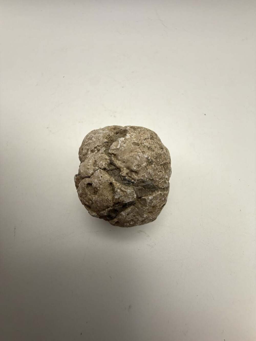 Natural Unopened Round Geode Specimen